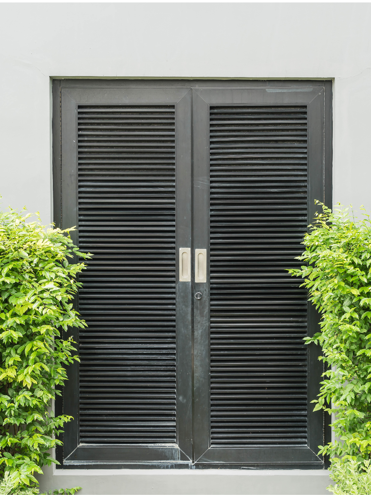 Portas e Portões